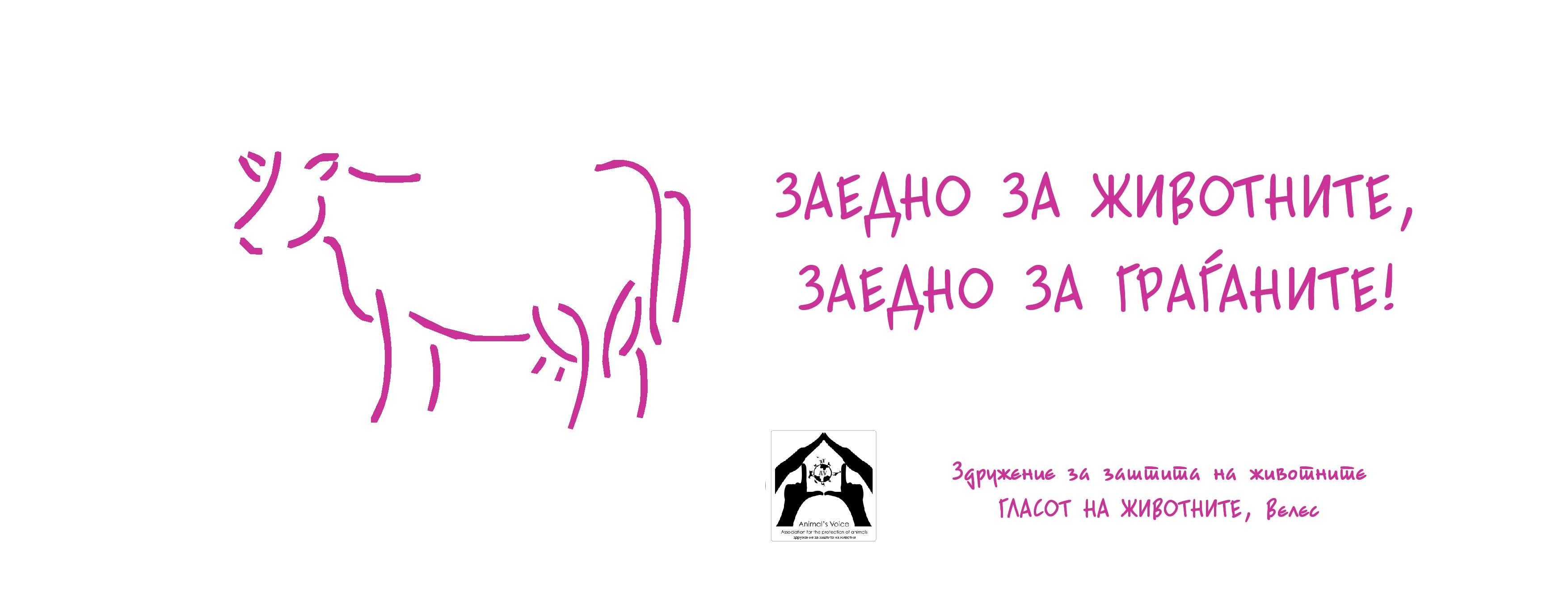 Банер-галерија